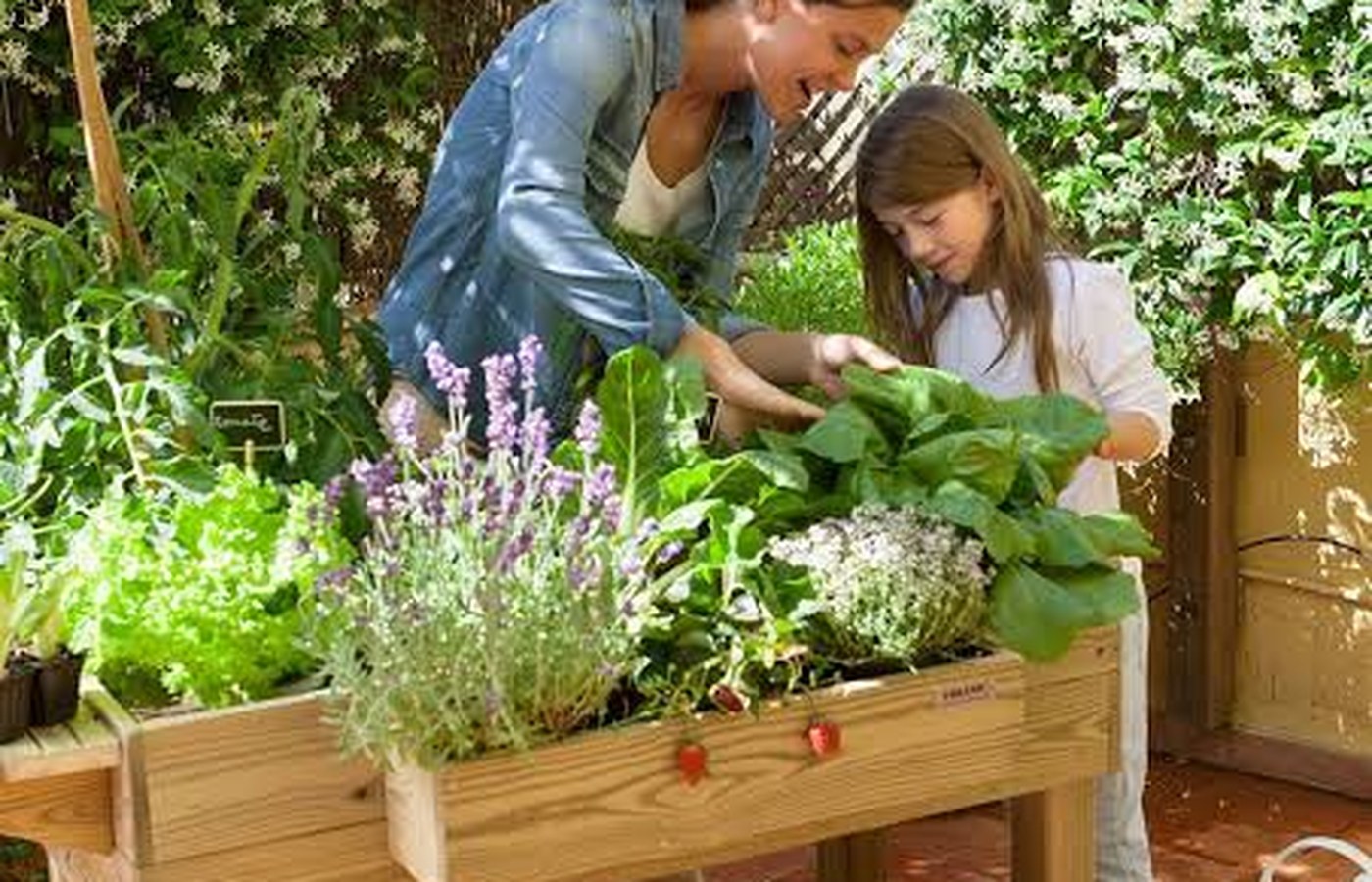 Urban gardens — families growing food in soil beds and community plots